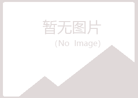 武山县惜雪能源有限公司